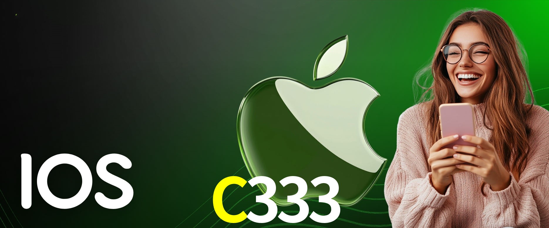 API Integration C333
